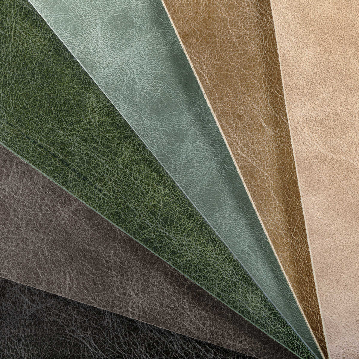 L-Brantley - Tan - KRAVET DESIGN Fabric