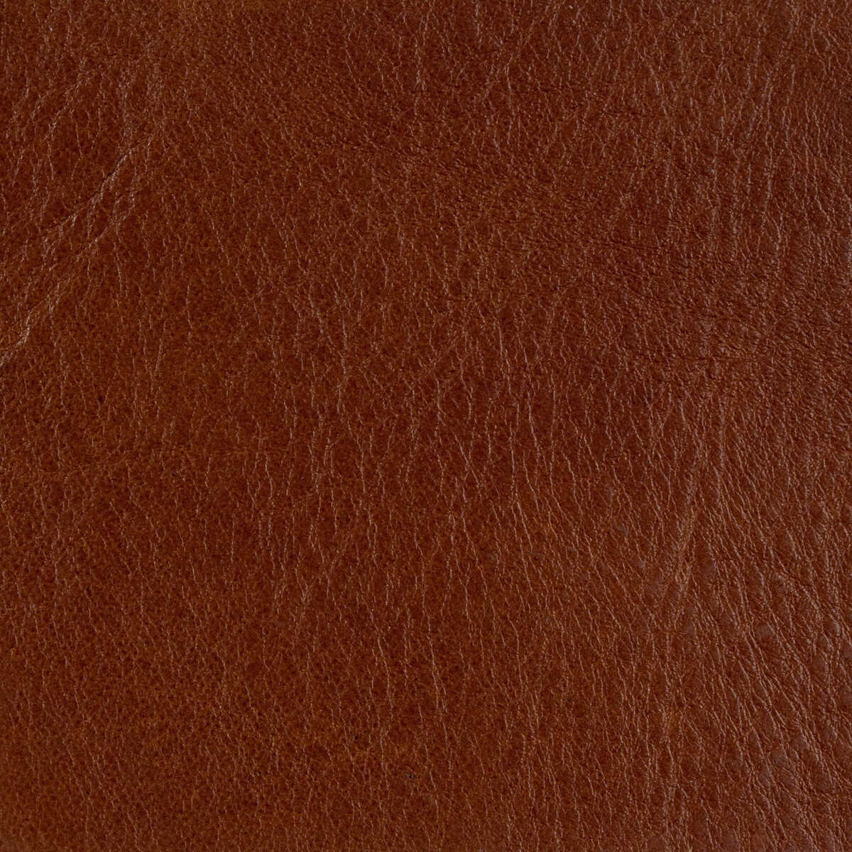 Kravet Couture - L-Brockway-Cocoa - KRAVET COUTURE Fabric