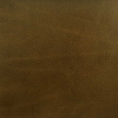 Kravet Couture - L-Brockway-Moss - KRAVET COUTURE Fabric