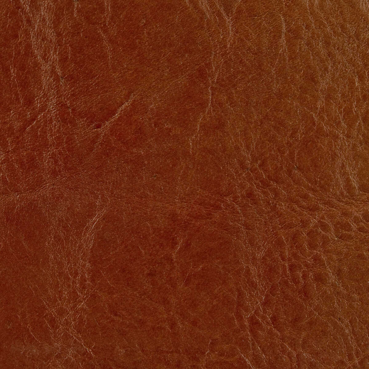 Kravet Couture - L-Brockway-Sierra - KRAVET COUTURE Fabric