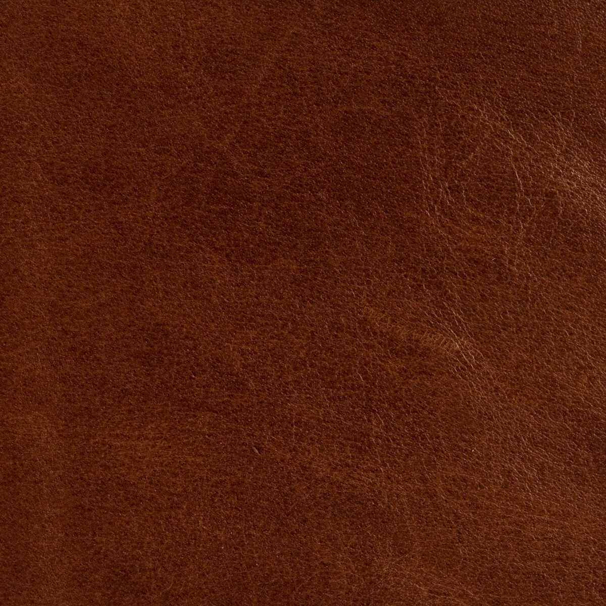 Kravet Couture - L-Brockway-Toffee - KRAVET COUTURE Fabric