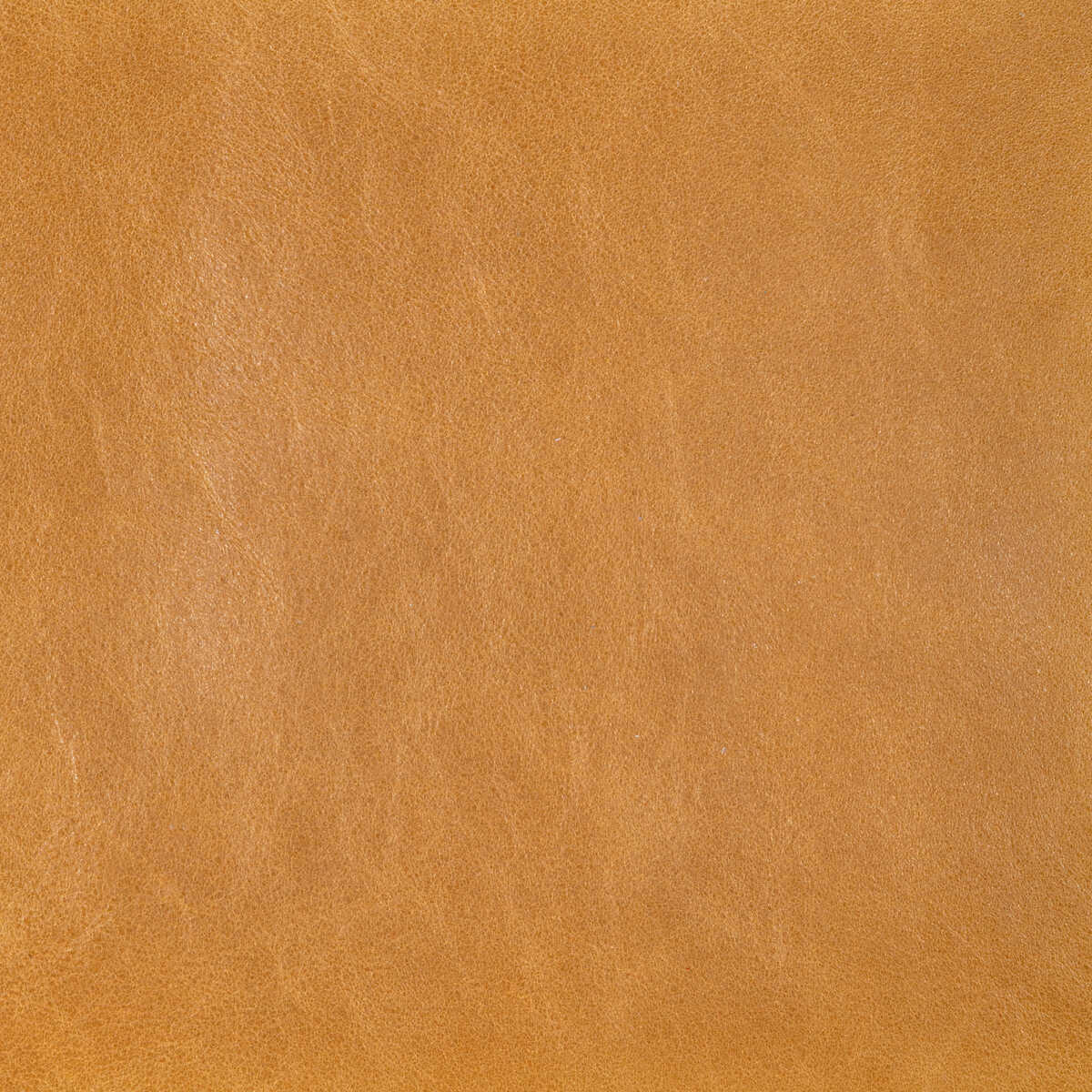 Kravet Design - L-Cannon-Ochre - KRAVET DESIGN Fabric