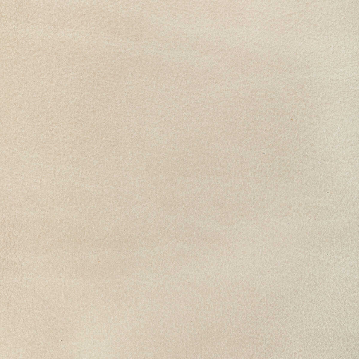 L-Canter - Bisque
