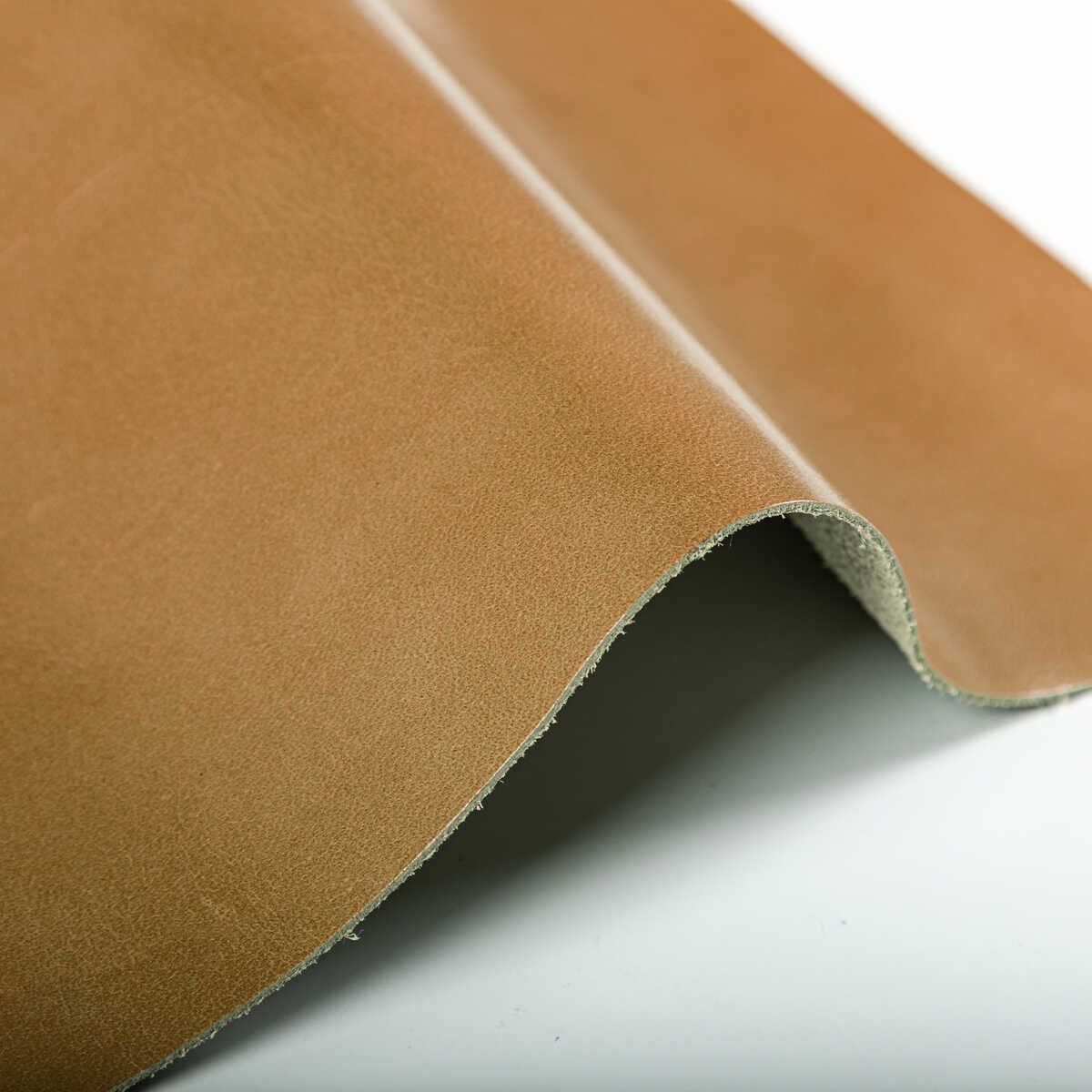 Kravet Design - L-Chantey-Burlywood - KRAVET DESIGN Fabric