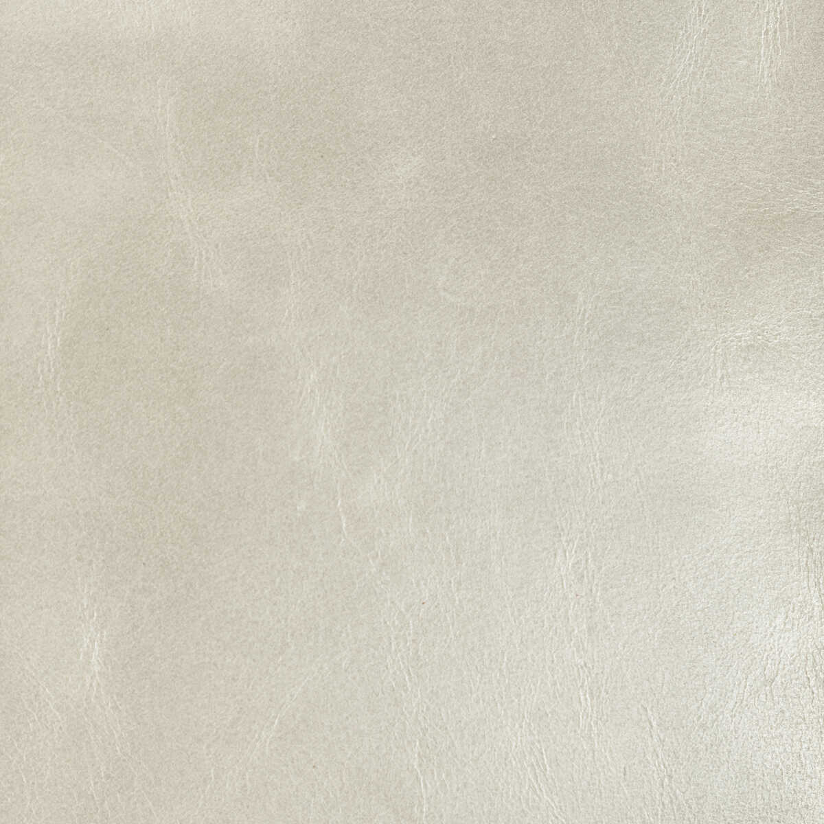 Kravet Design - L-Chantey-Fossil