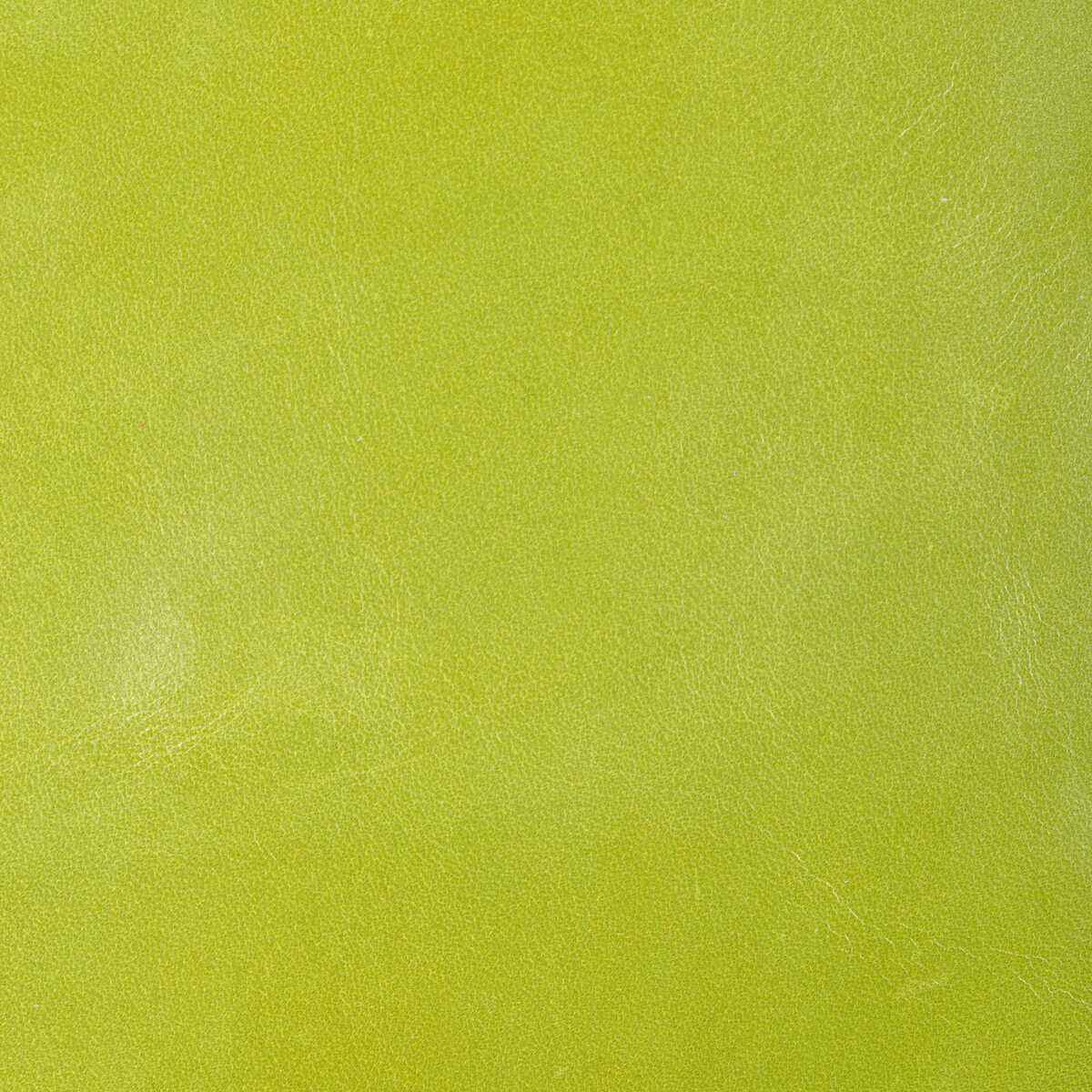 Lchanteypear0 Kravet Design L Chantey Pear Kravet Design Fabric