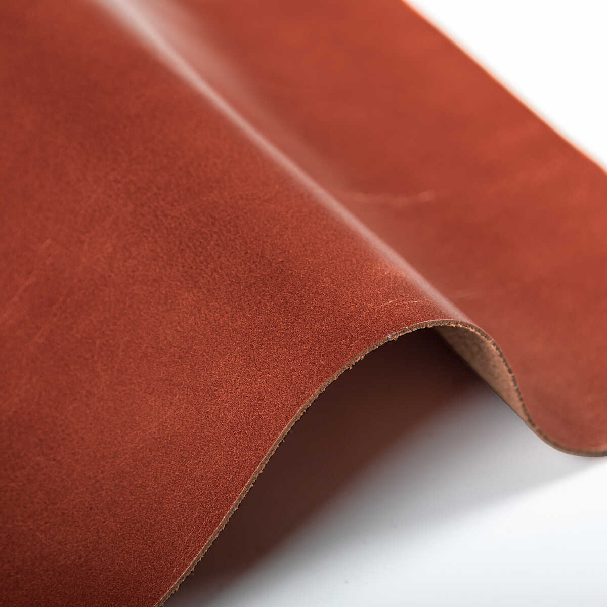 Kravet Design - L-Chantey-Rust - KRAVET DESIGN Fabric