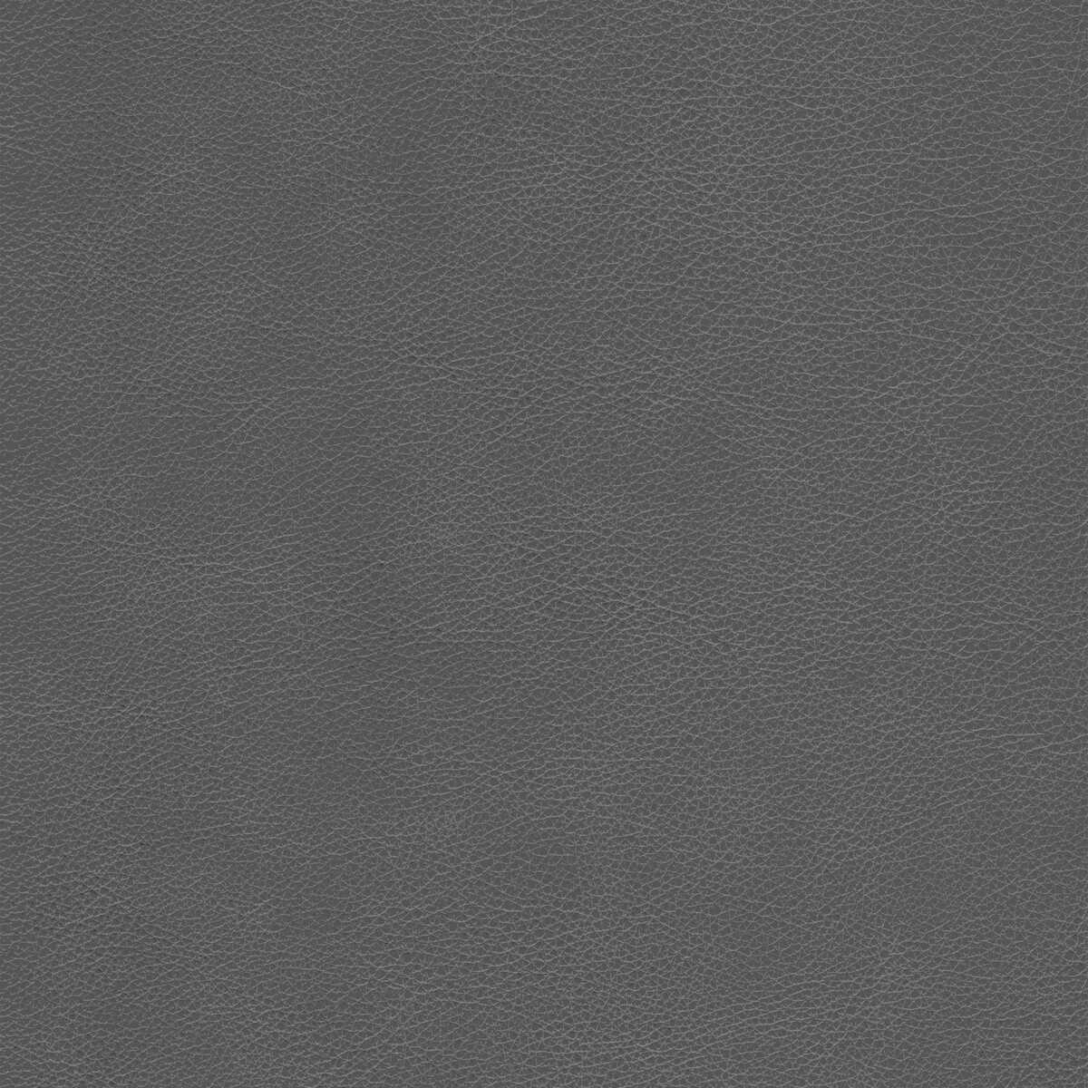 Kravet Design - L-Cimarron-Bark - KRAVET DESIGN Fabric
