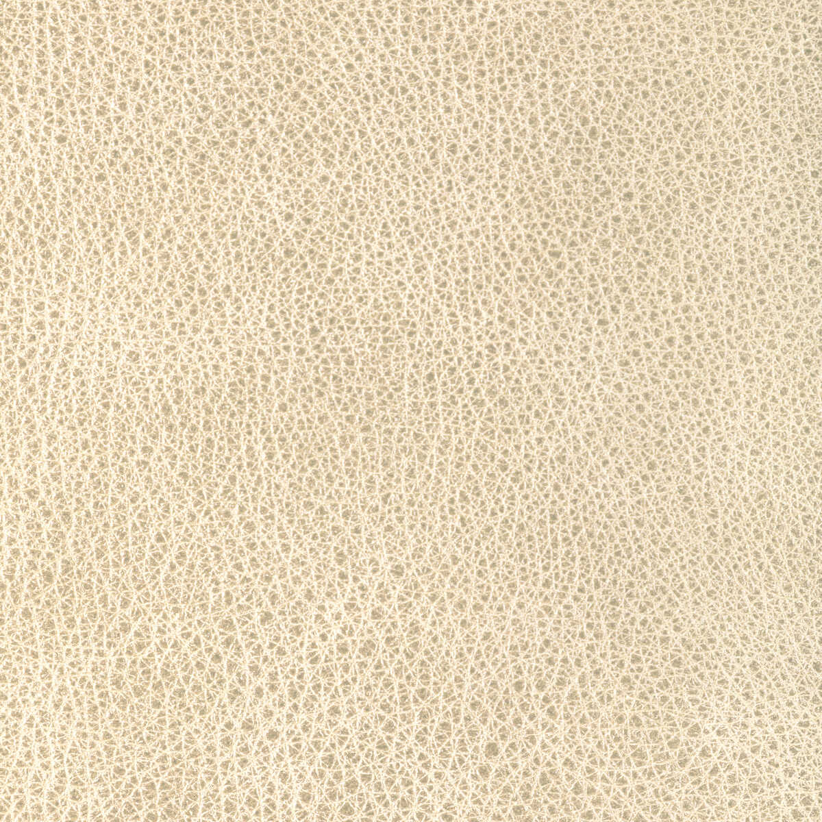 Kravet Design - L-Cimarron-Cloud - KRAVET DESIGN Fabric