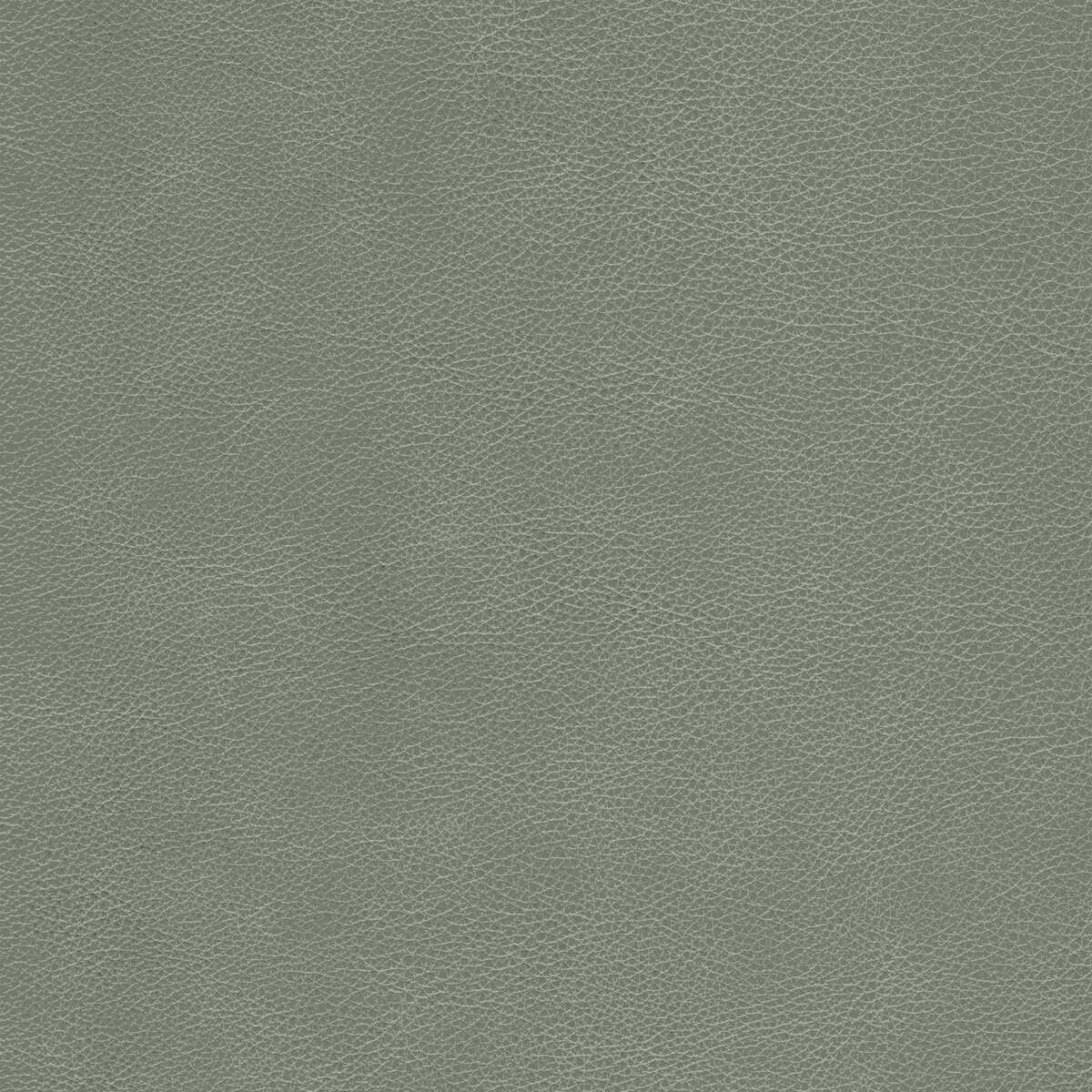Kravet Design - L-Cimarron-Elephant - KRAVET DESIGN Fabric