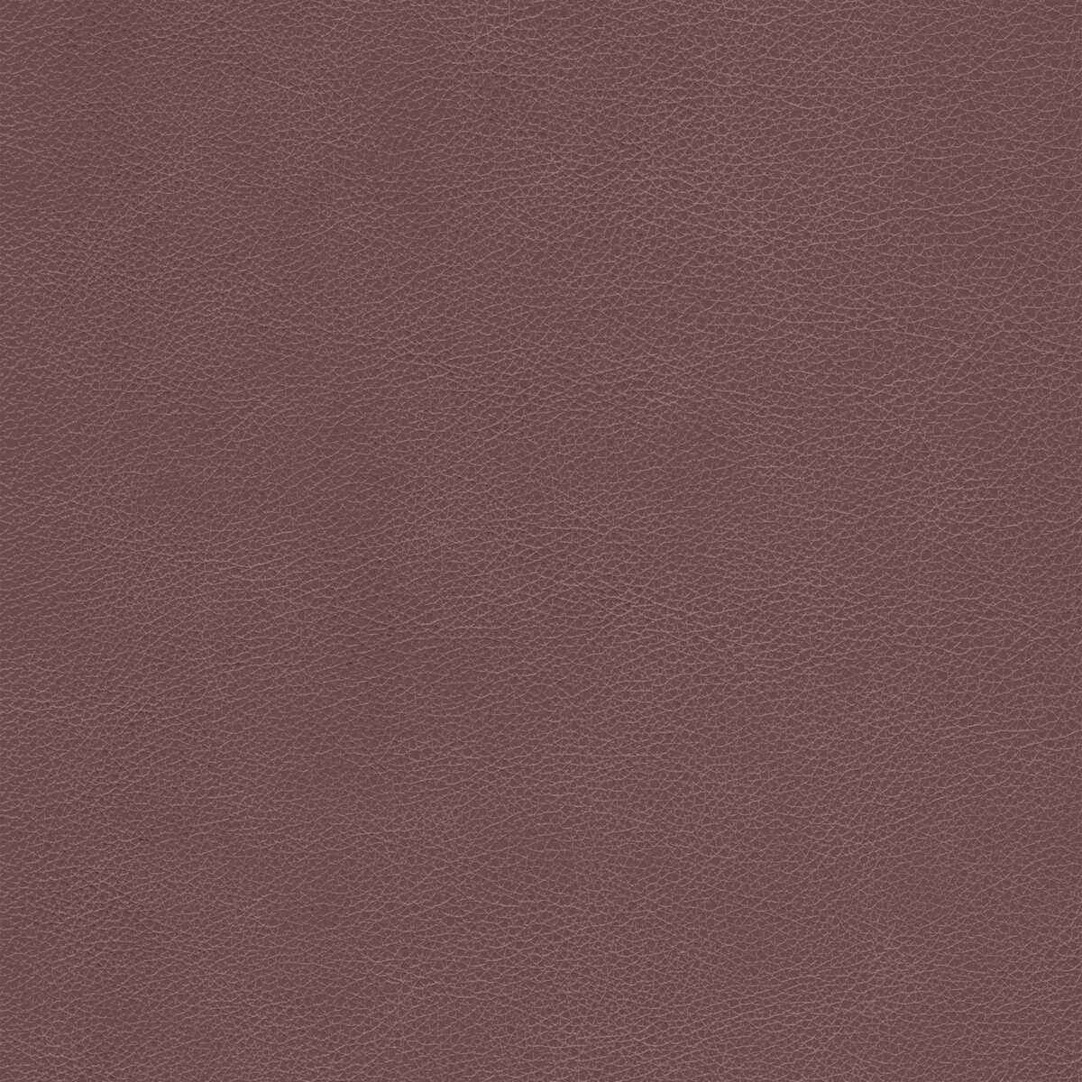 Lcimarronwhiskey0 Kravet Design L Cimarron Whiskey Kravet Design Fabric
