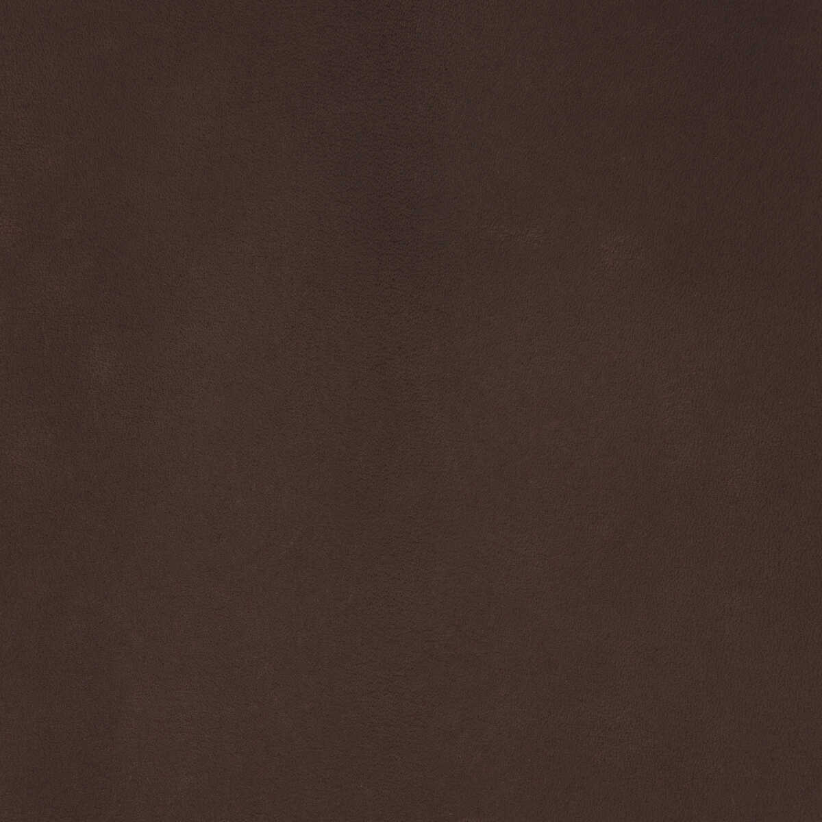 Kravet Design - L-Coiro-Molasses - KRAVET DESIGN Fabric