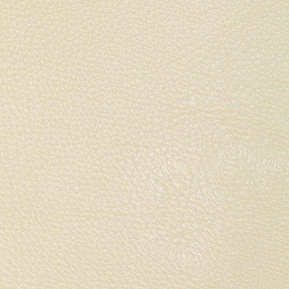 Kravet Design - L-Conchas-Cloud - KRAVET DESIGN Fabric
