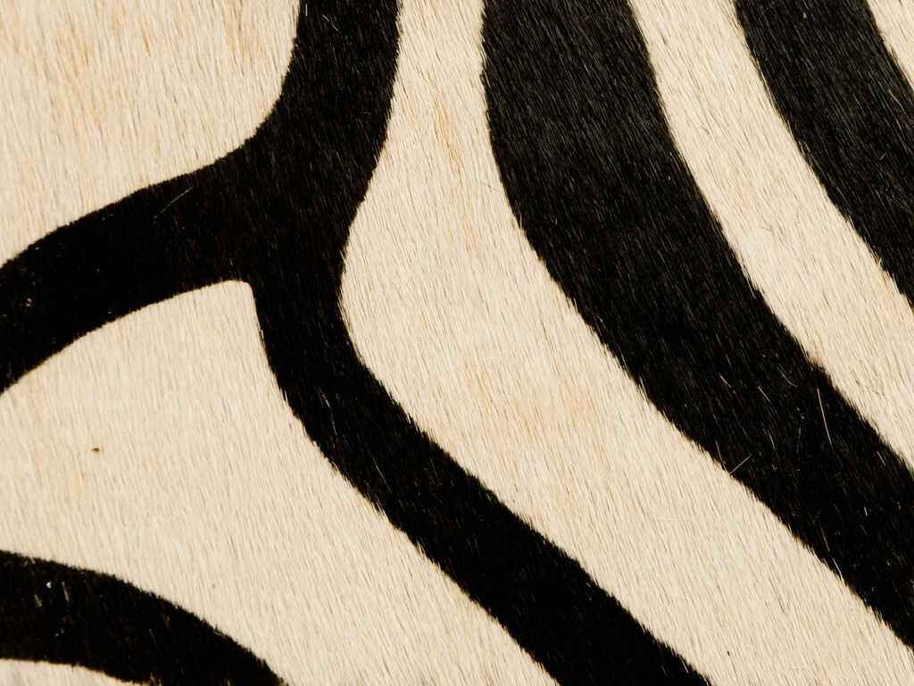Lcoveted810 Painted Zebra Natural Kravet Couture Fabric
