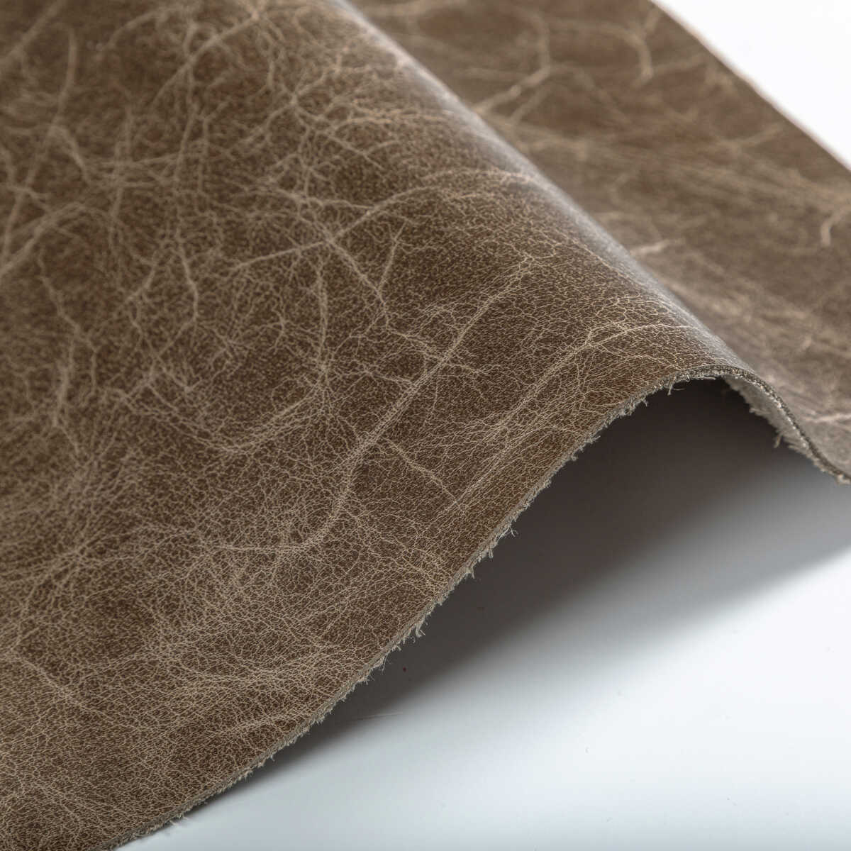 Kravet Design - L-De Baca-Stone - KRAVET DESIGN Fabric