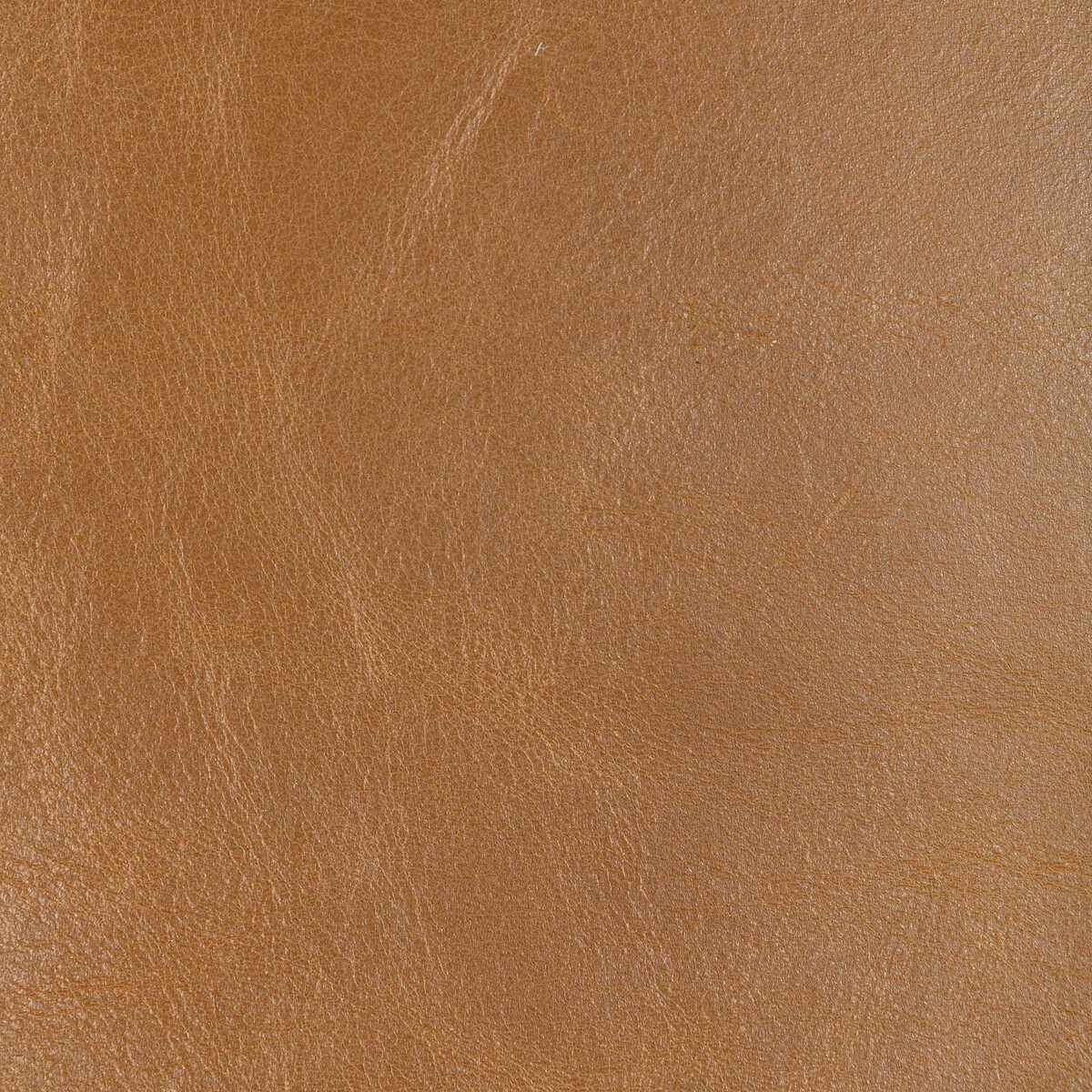 Ldroverscaramel0 Kravet Design L Drovers Caramel Kravet Design Fabric