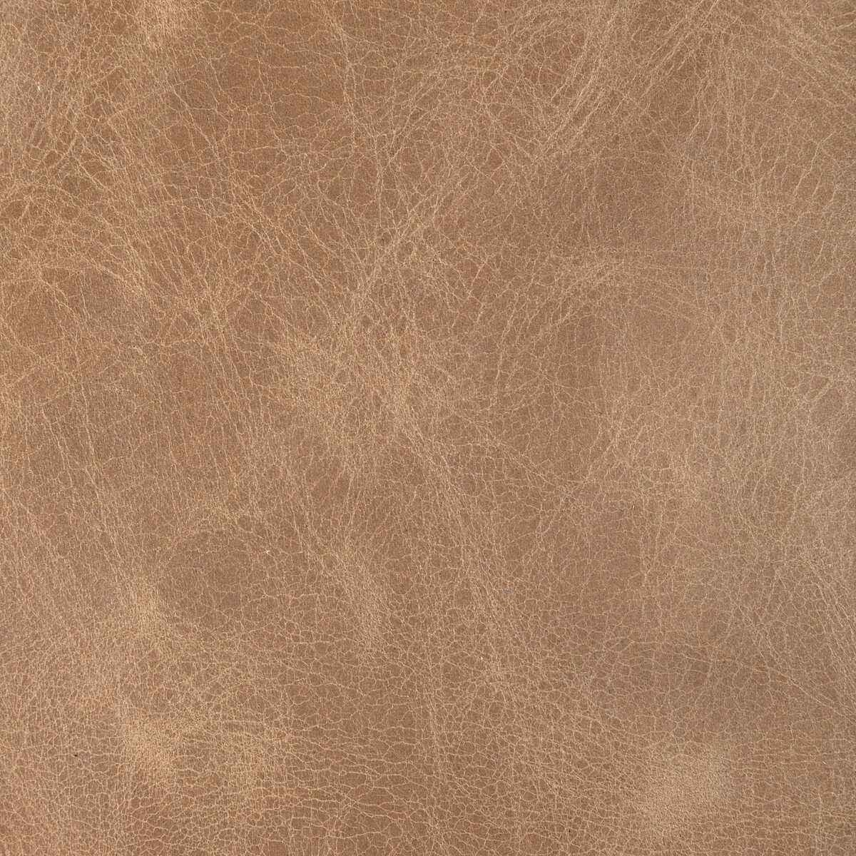 Ldroverspeanut0 Kravet Design L Drovers Peanut Kravet Design Fabric