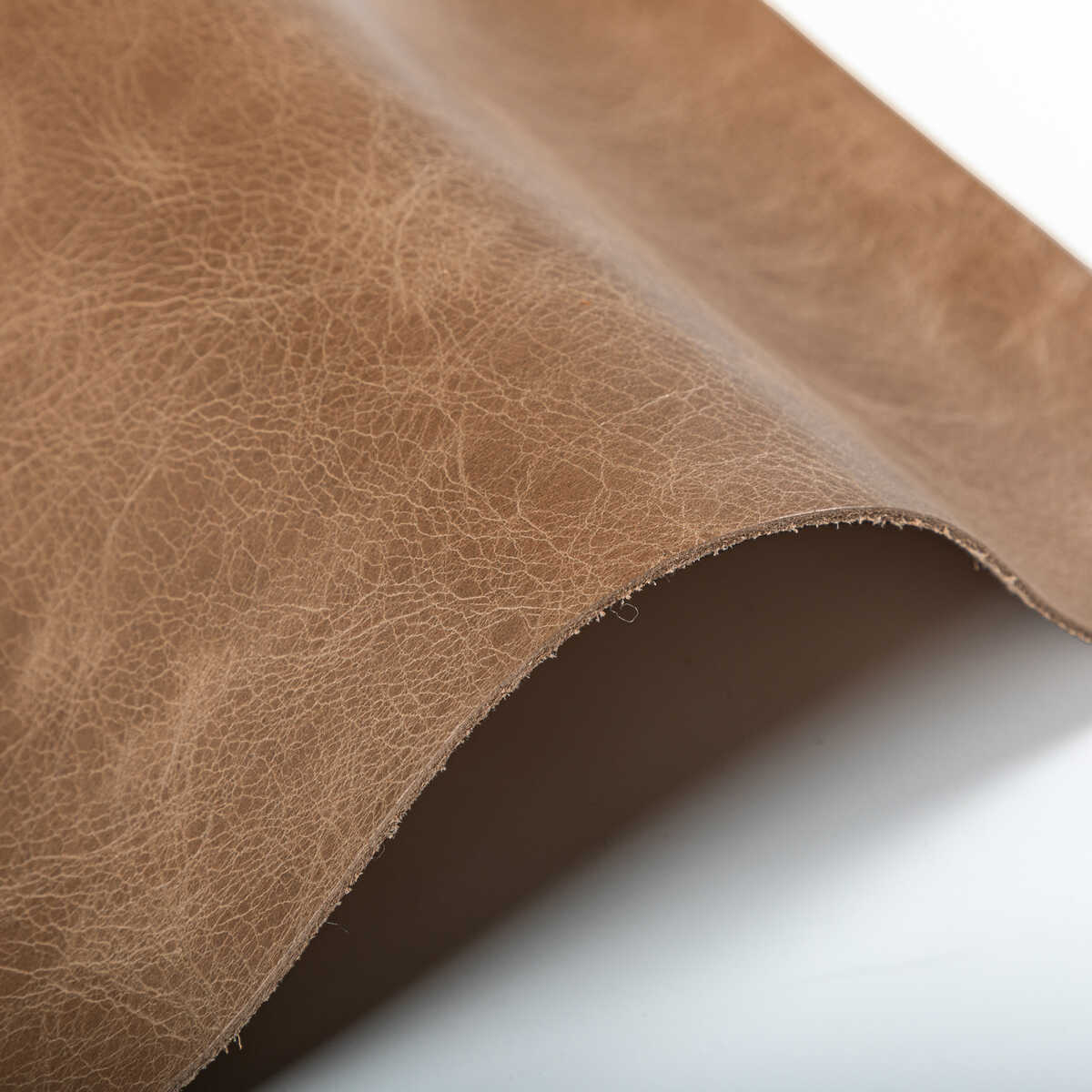 Kravet Design - L-Drovers-Peanut - KRAVET DESIGN Fabric