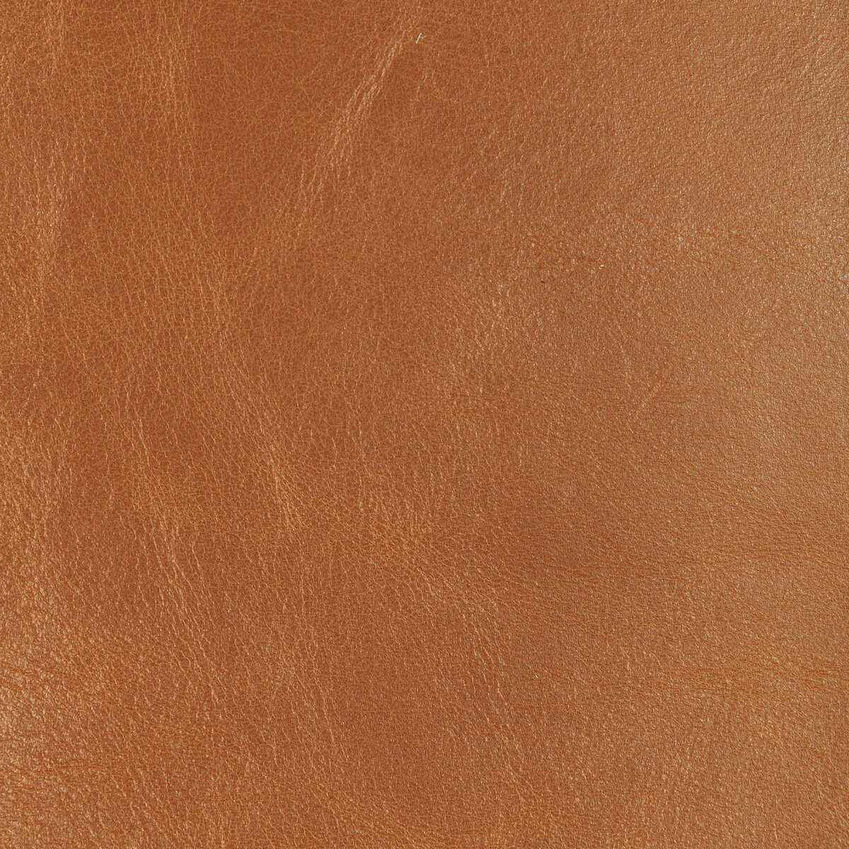 Ldroverssaddle0 Kravet Design L Drovers Saddle Kravet Design Fabric
