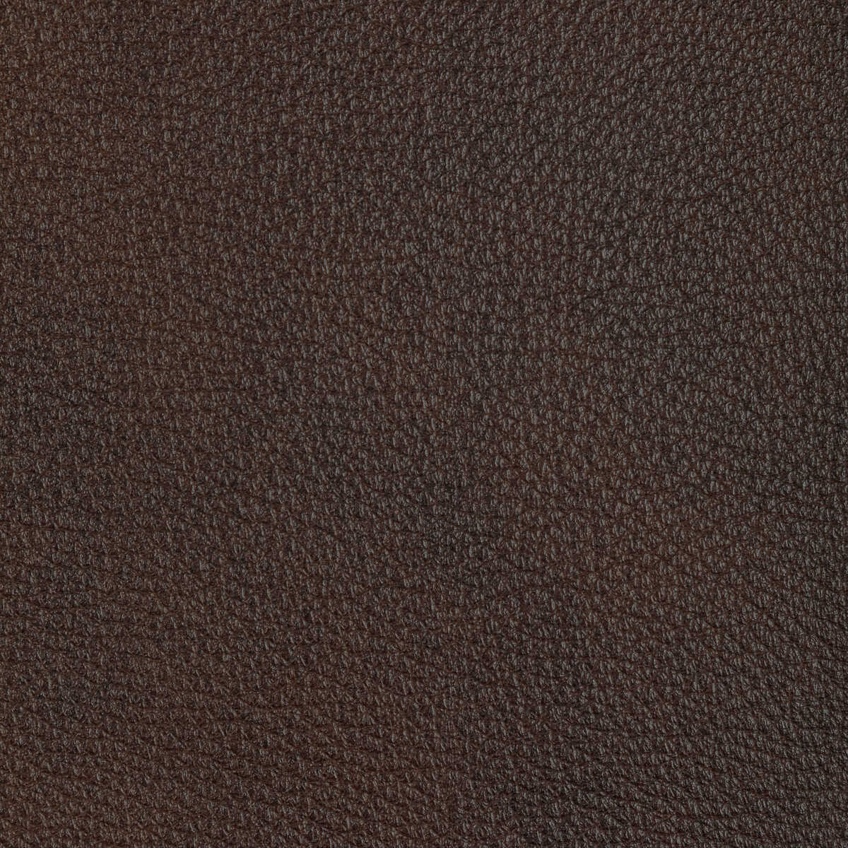 Kravet Design - L-El Cerro-Espresso - KRAVET DESIGN Fabric