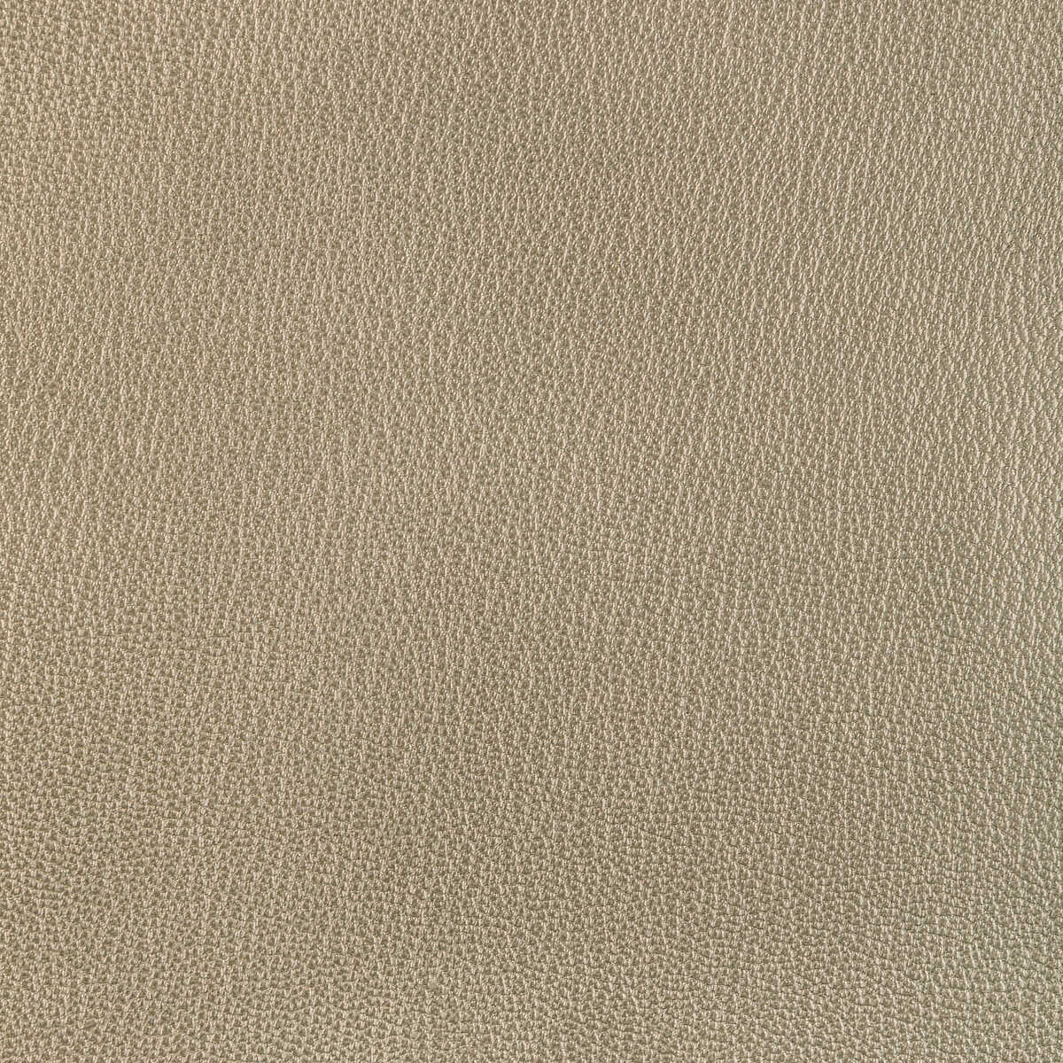 Kravet Design - L-El Rito-Gold - KRAVET DESIGN Fabric
