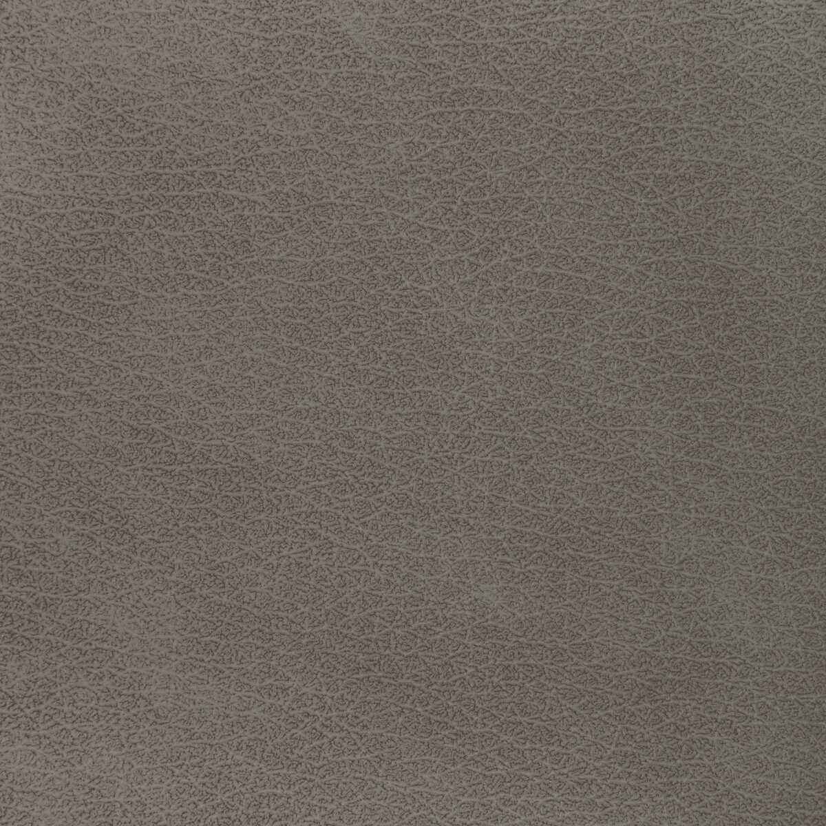 Lelvadotaupe0 Kravet Design L El Vado Taupe Kravet Design Fabric