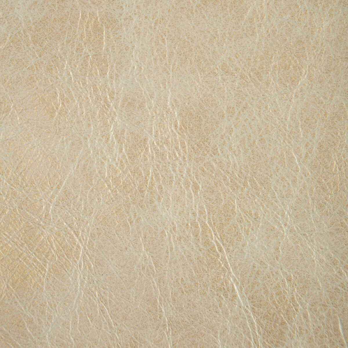 Lgildedplatinum0 L Gilded Platinum Kravet Couture Fabric