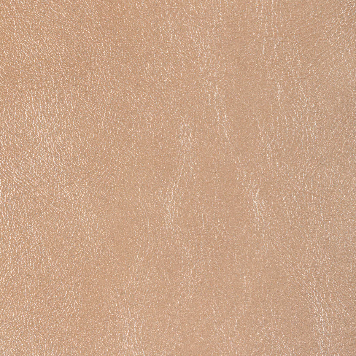 L-Glisten-Nude - - KRAVET DESIGN Fabric