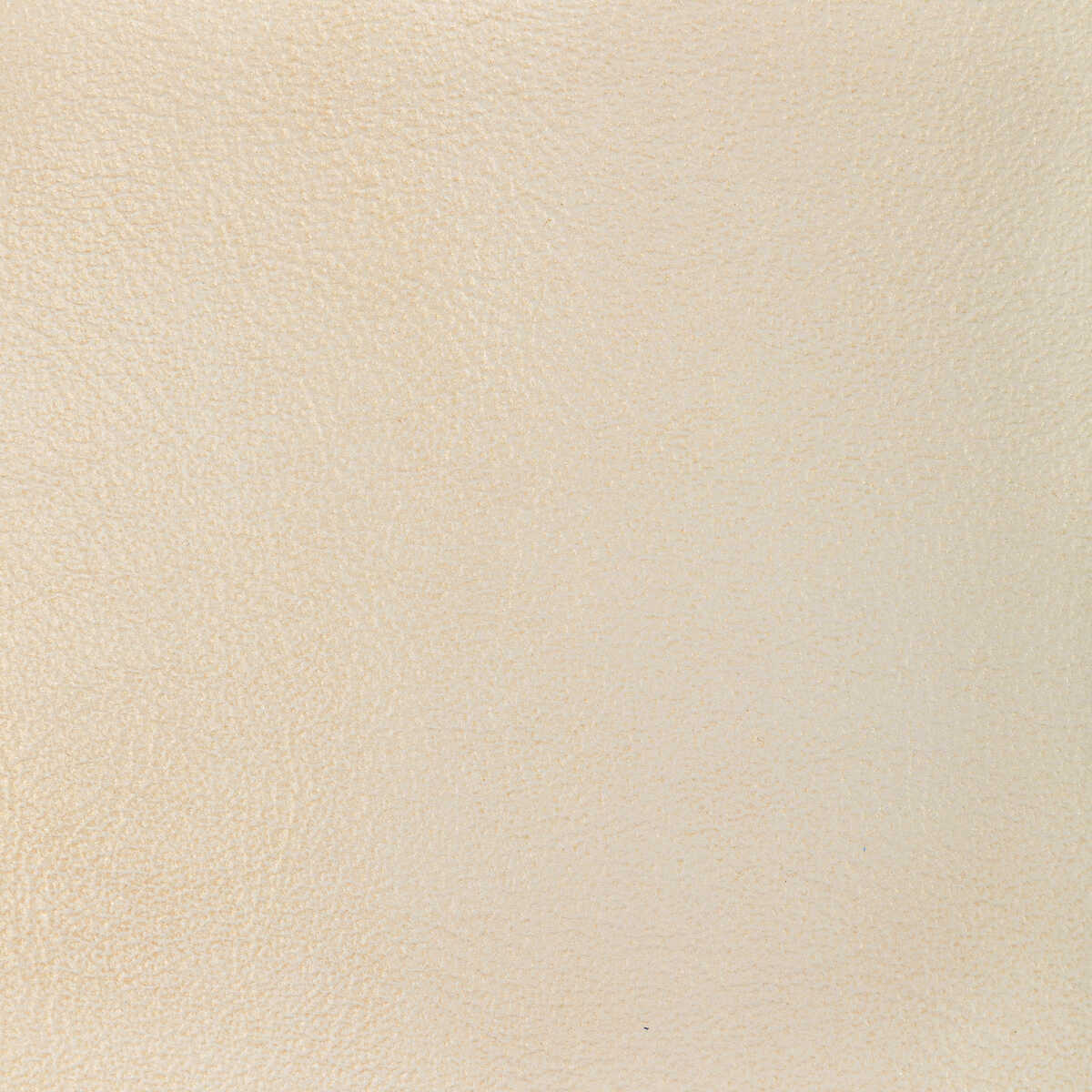 L-Glisten-Seashell - - KRAVET DESIGN Fabric