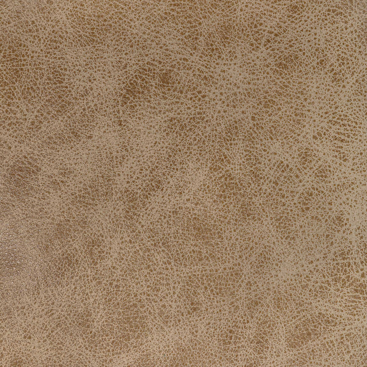 Kravet Design - L-Grange-Camel - KRAVET DESIGN Fabric