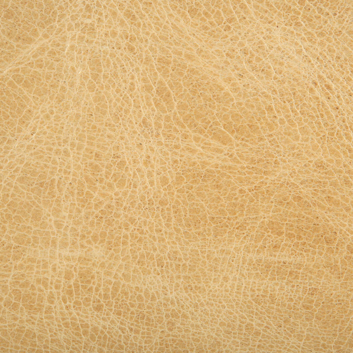 Kravet Couture - L-Haute-Blonde - KRAVET COUTURE Fabric