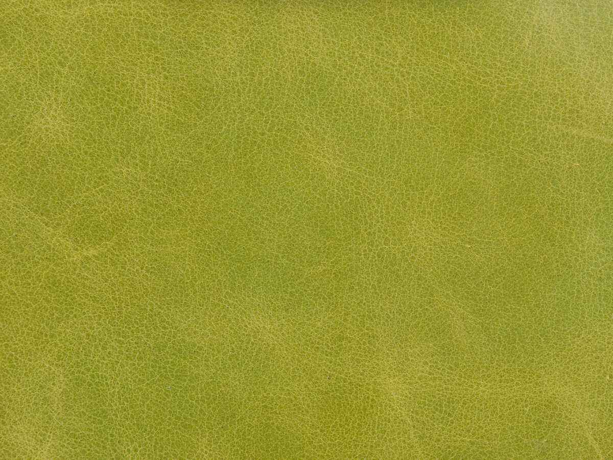 Lhautechartreuse0 Kravet Couture L Haute Chartreuse Kravet Couture Fabric