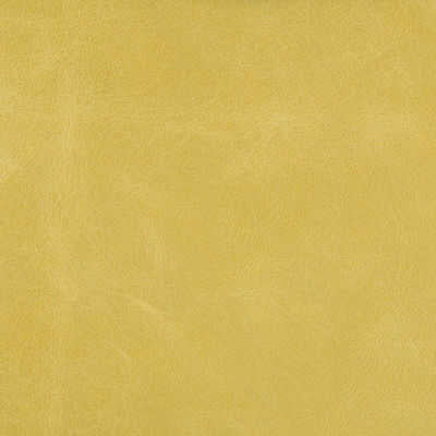 Kravet Couture - L-Haute-Citron - KRAVET COUTURE Fabric