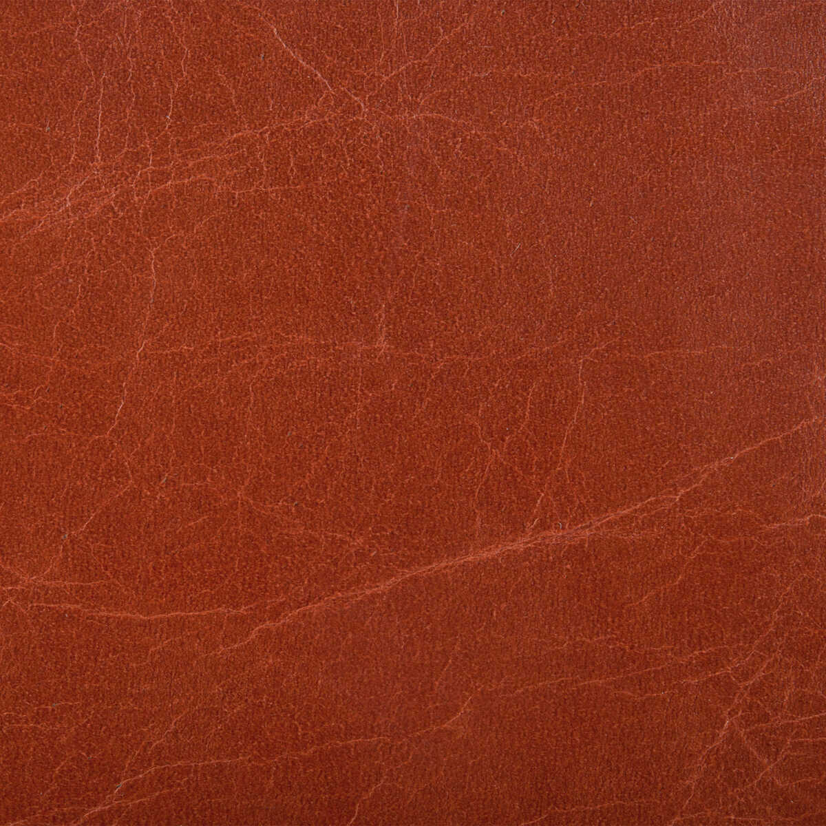 Kravet Couture - L-Haute-Madder - KRAVET COUTURE Fabric