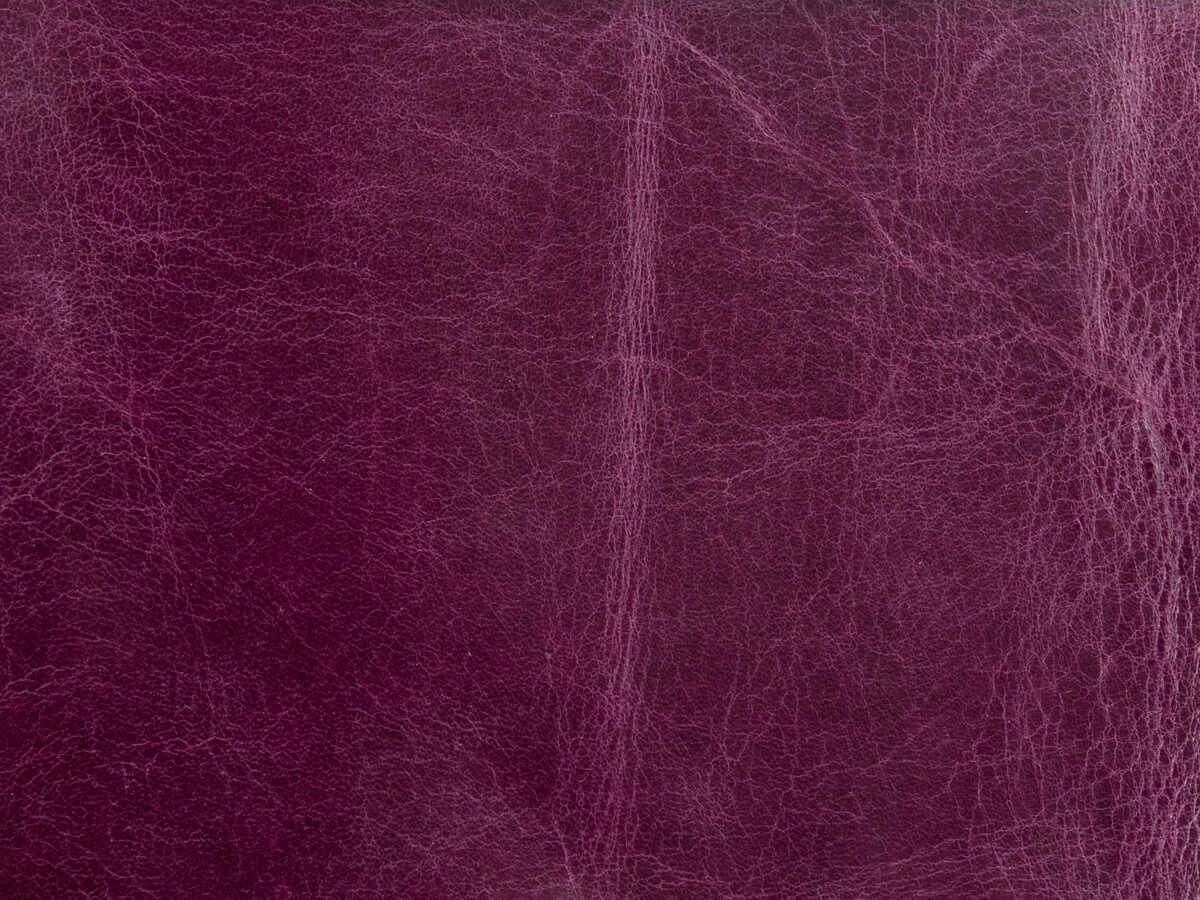 Kravet Couture - L-Haute-Plum - KRAVET COUTURE Fabric
