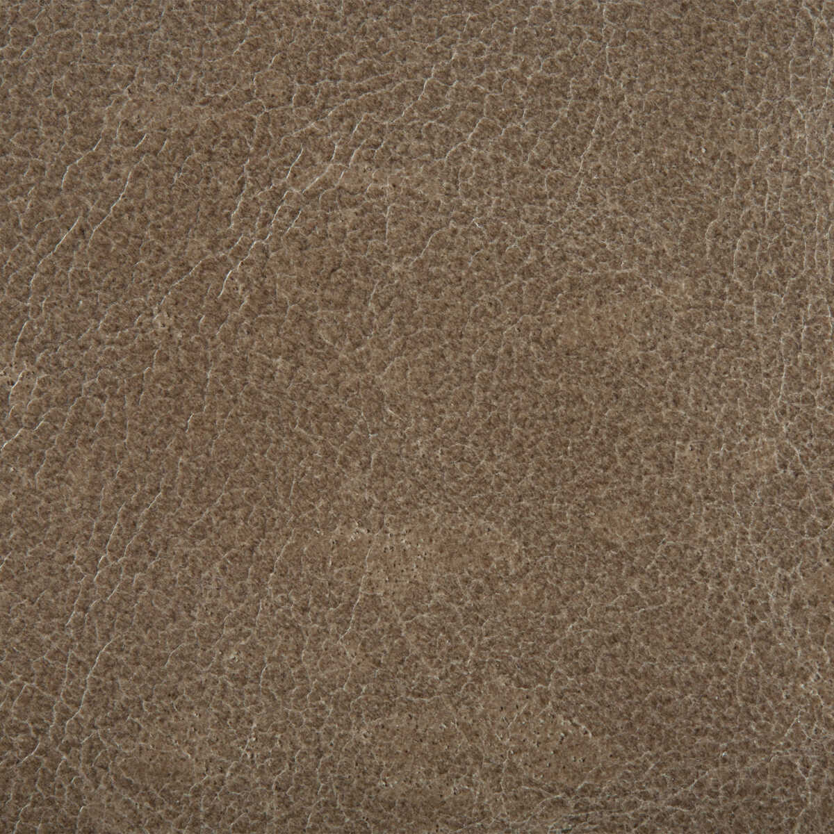 Kravet Couture - L-Cosmo-Cinder - KRAVET COUTURE Fabric