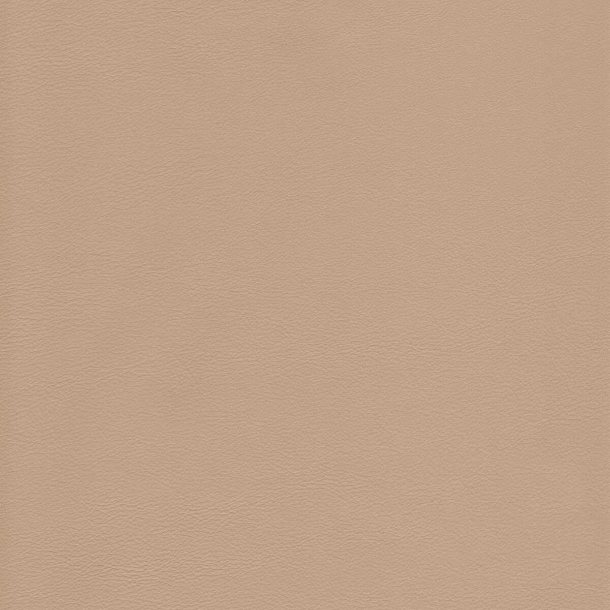 Kravet Design - L-Howdy-Birch - KRAVET DESIGN Fabric