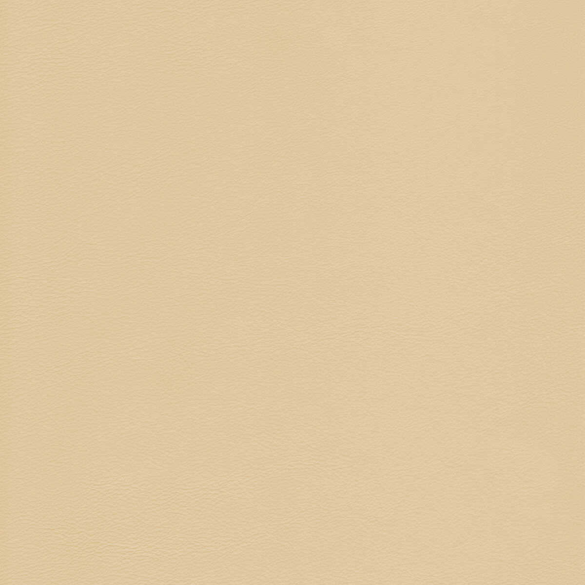 Kravet Design - L-Howdy-Butter - KRAVET DESIGN Fabric
