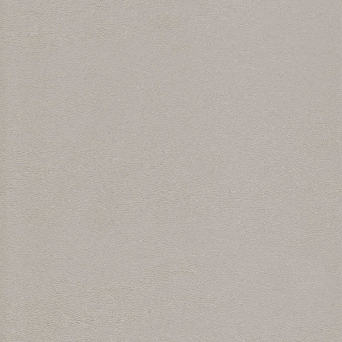 Kravet Design - L-Howdy-Grey - KRAVET DESIGN Fabric