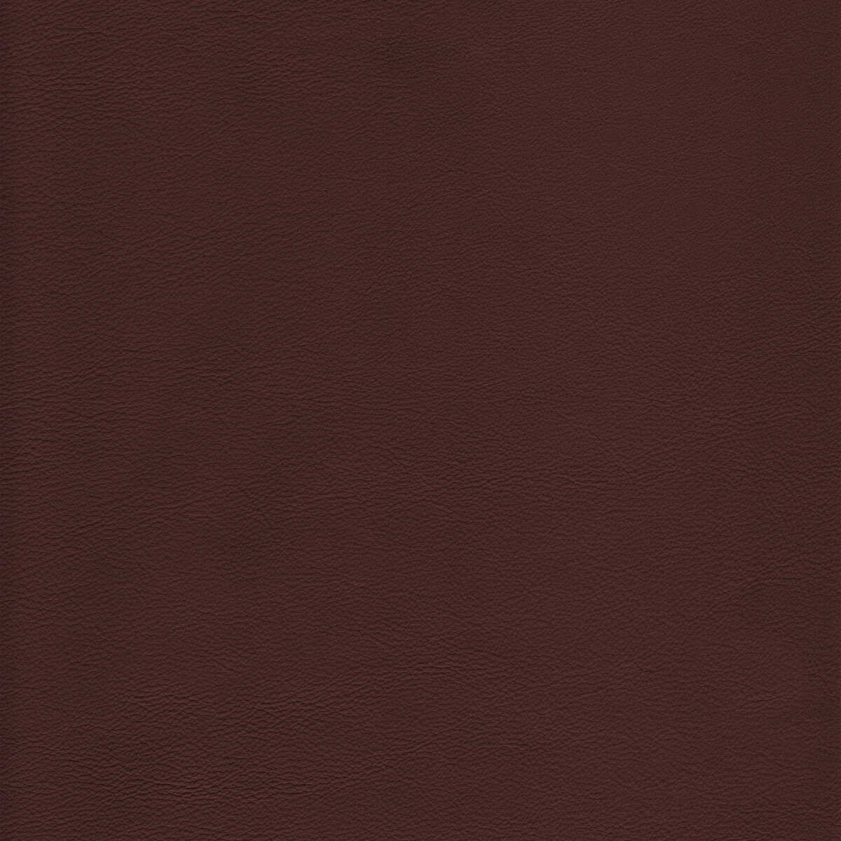 Kravet Design - L-Howdy-Latte - KRAVET DESIGN Fabric