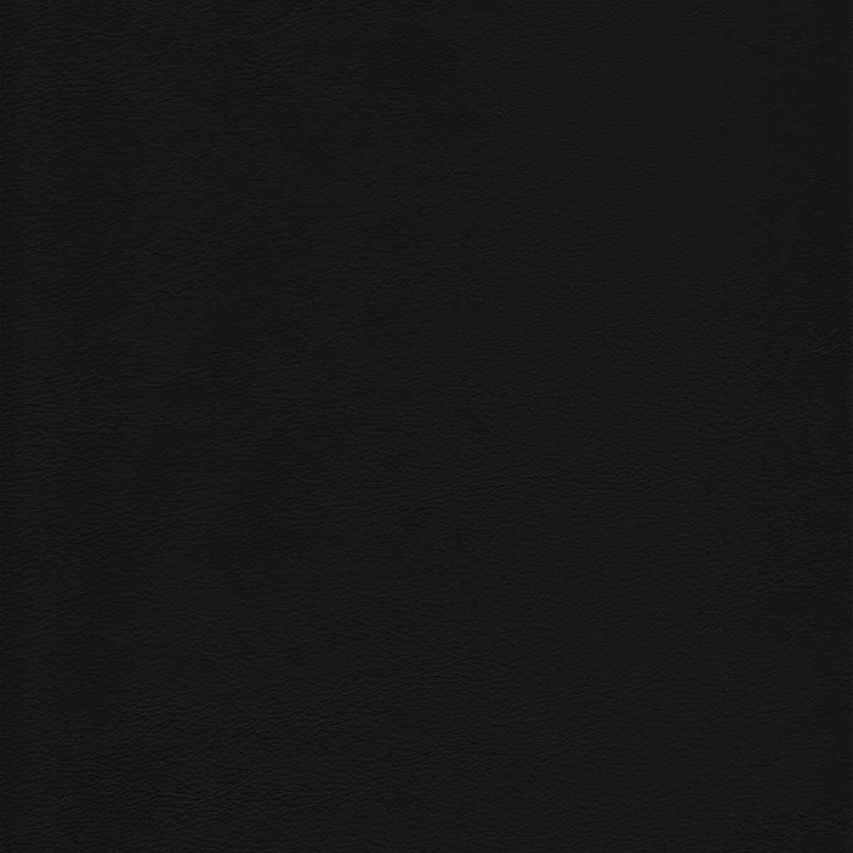 Kravet Design - L-Howdy-Noir - KRAVET DESIGN Fabric