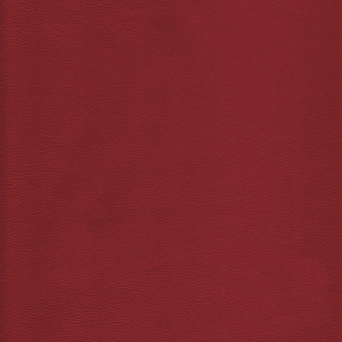Kravet Design - L-Howdy-Salsa - KRAVET DESIGN Fabric