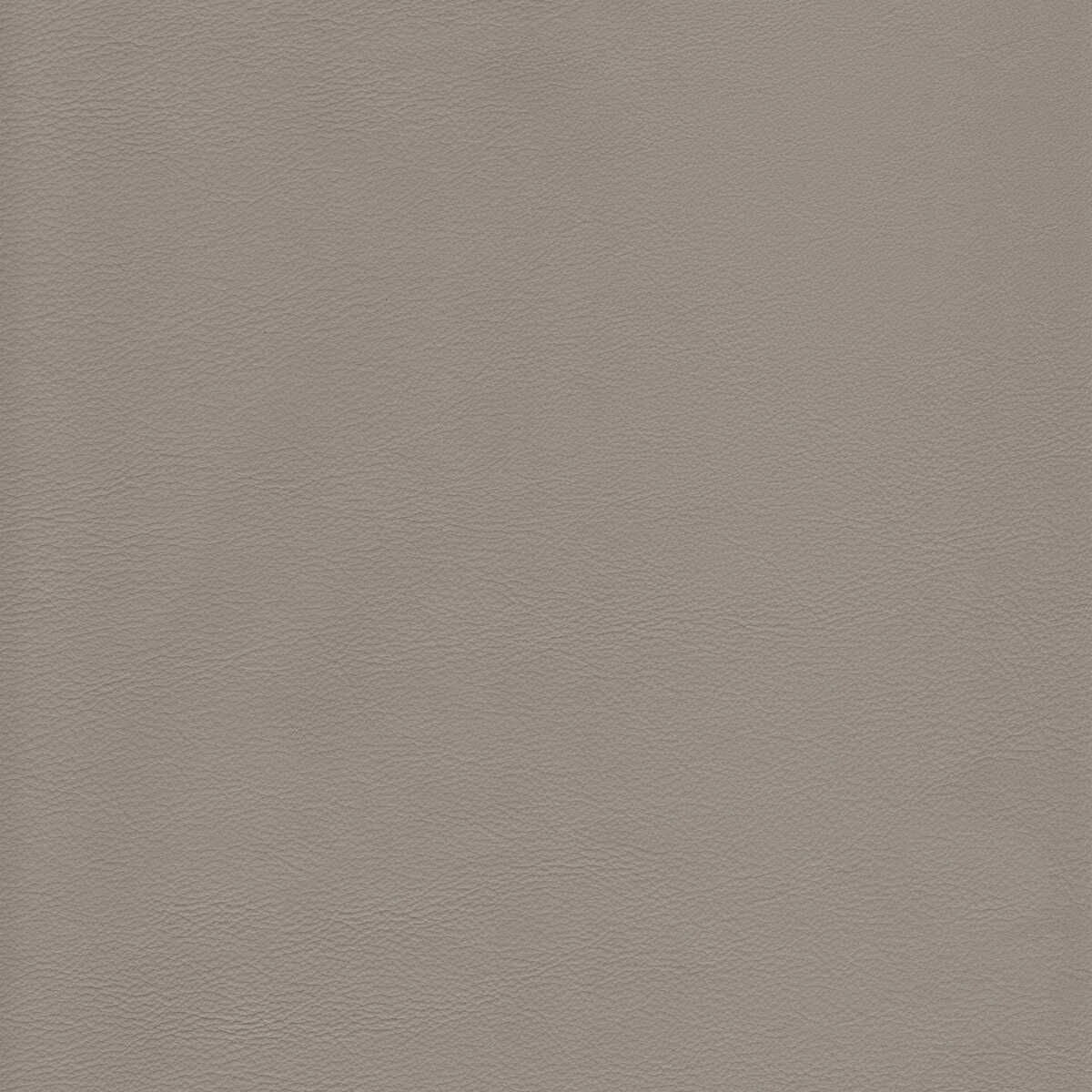 Kravet Design - L-Howdy-Slate - KRAVET DESIGN Fabric