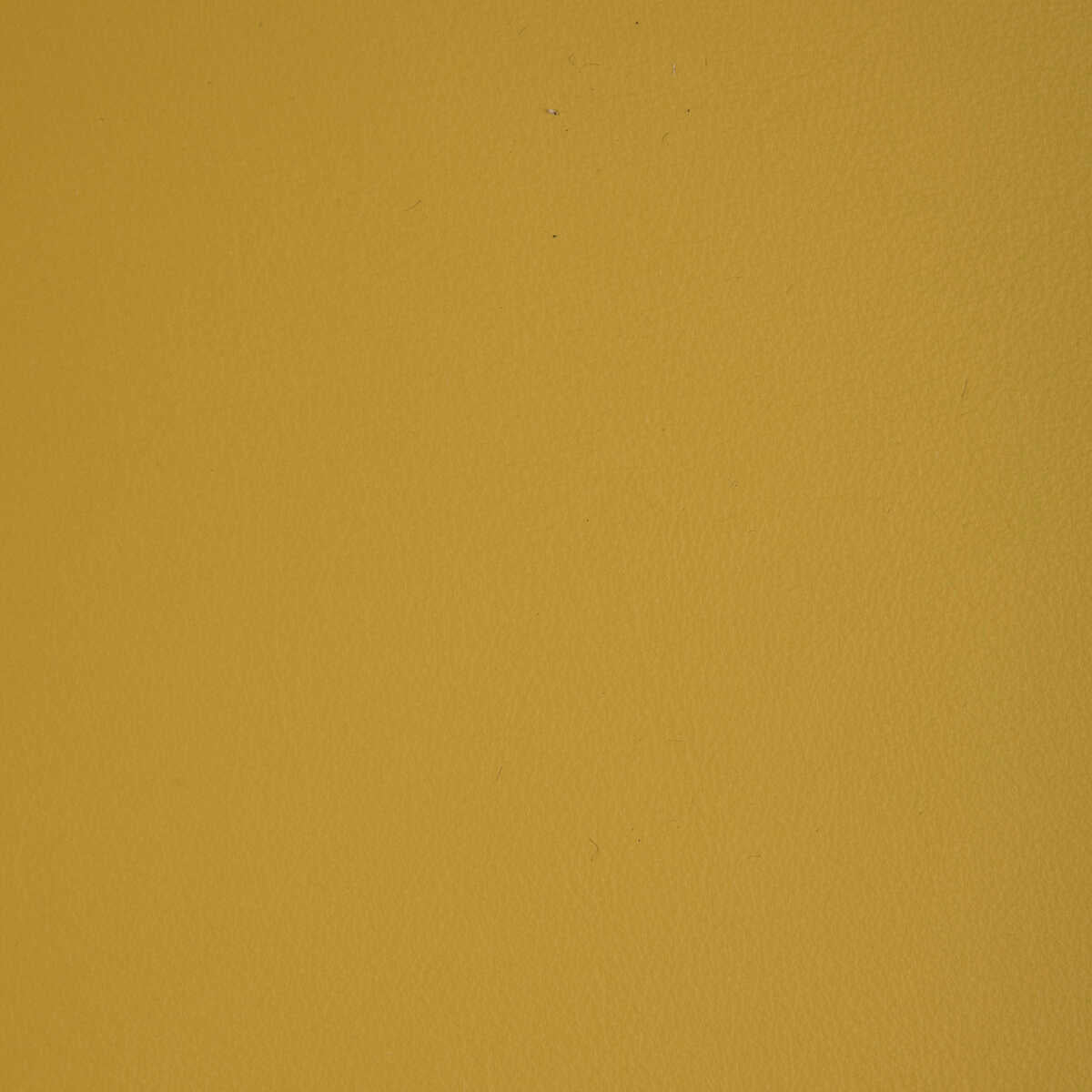 Kravet Design - L-Howdy-Sunshine - KRAVET DESIGN Fabric