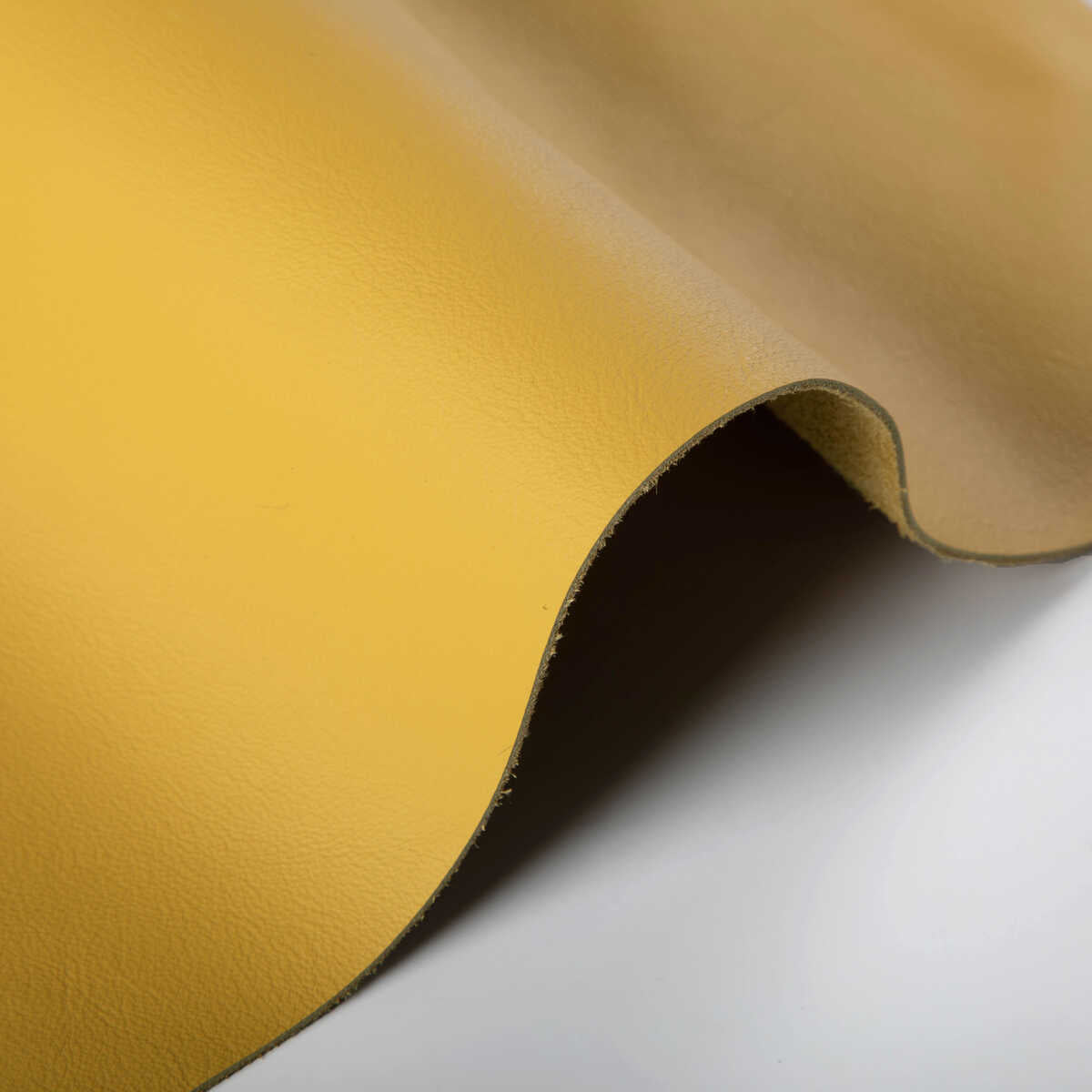 Kravet Design - L-Howdy-Sunshine - KRAVET DESIGN Fabric