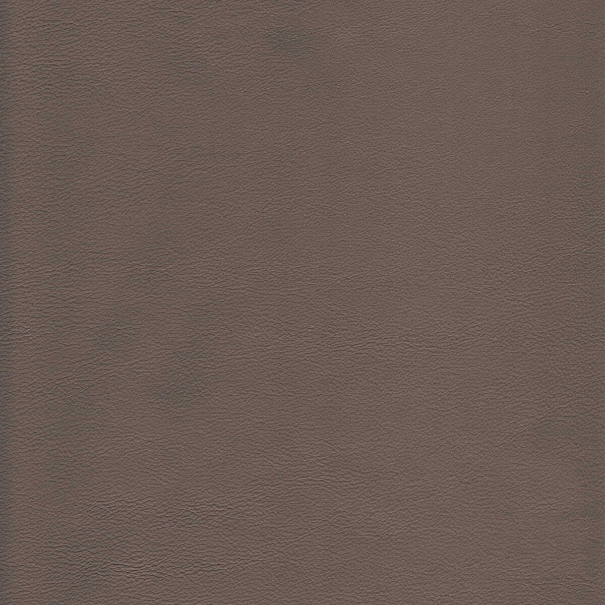 Kravet Design - L-Howdy-Taupe - KRAVET DESIGN Fabric