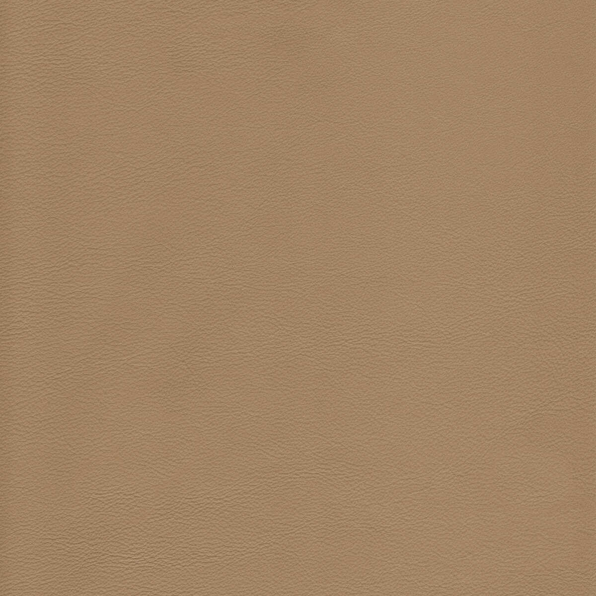 Kravet Design - L-Howdy-Tea - KRAVET DESIGN Fabric