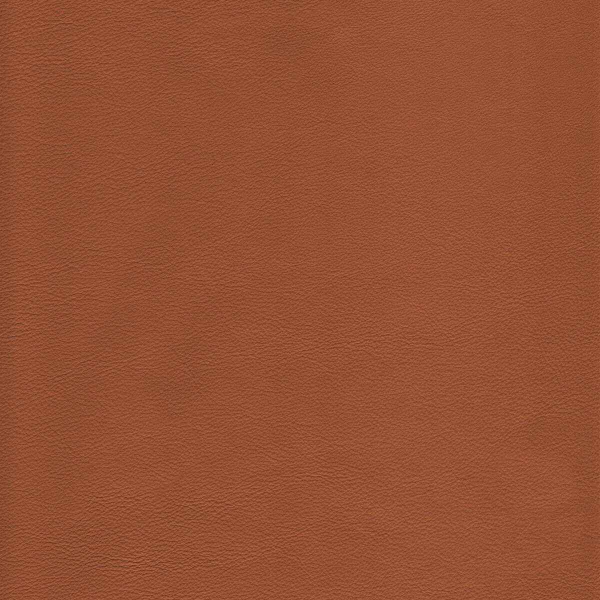 Lhowdytoffee0 Kravet Design L Howdy Toffee Kravet Design Fabric