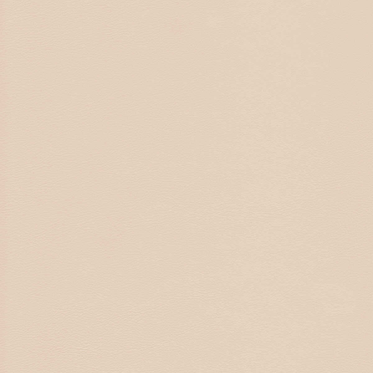 Kravet Design - L-Howdy-Tusk - KRAVET DESIGN Fabric