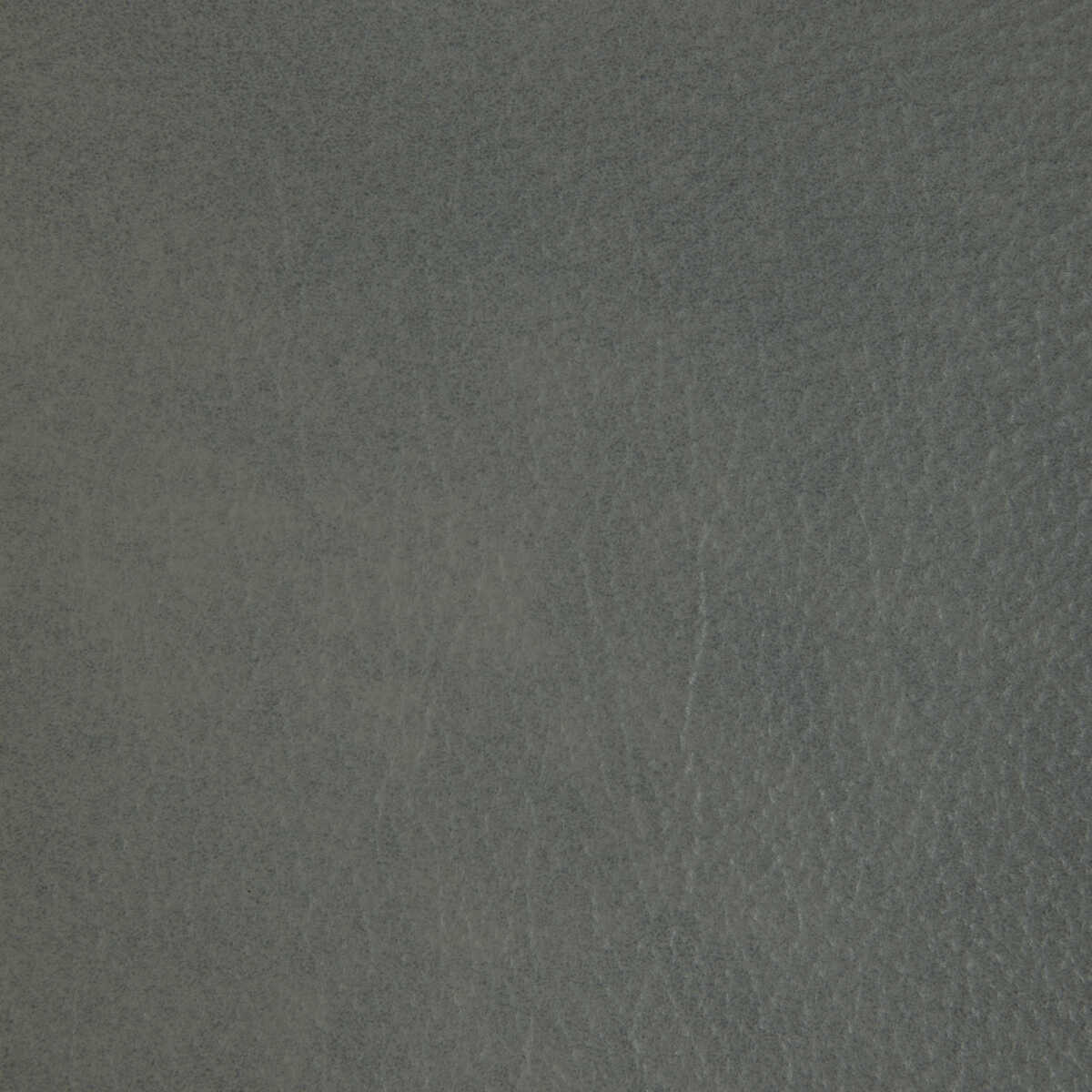 Kravet Design - L-Laramie-Abalone - KRAVET DESIGN Fabric